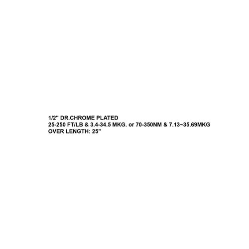 041013     1/2" MICROMETER TORQUE WRENCH, 250LBS KIT