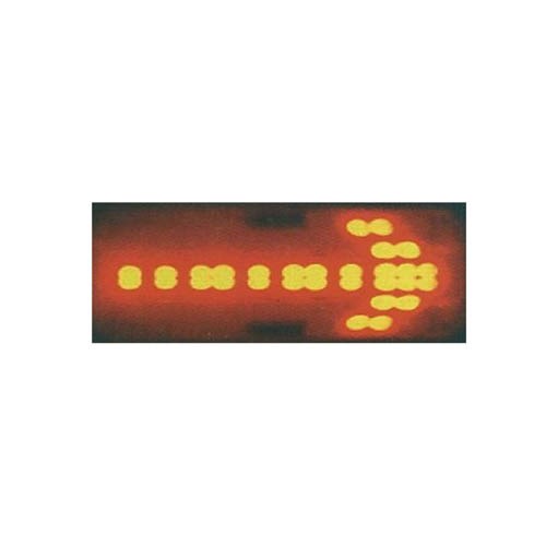 142369     LED ROAD SIGN, BATTERY EXCLUDED