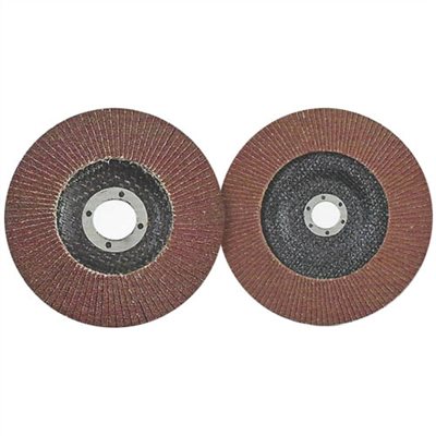 FLAP DISC