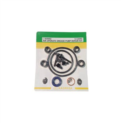 025002     REPAIR KIT FOR AIR OPERATED GREASE PUMP (C)