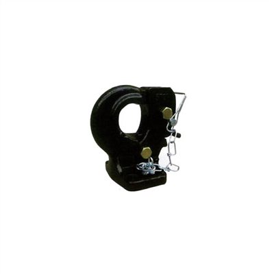 063121     PINTLE HOOK