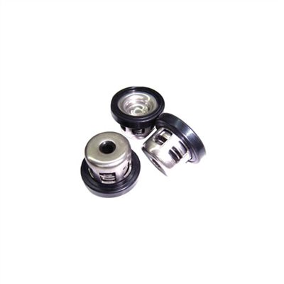 166520     SPARE VALVE KIT FOR WL-45B POWER SPRAYER